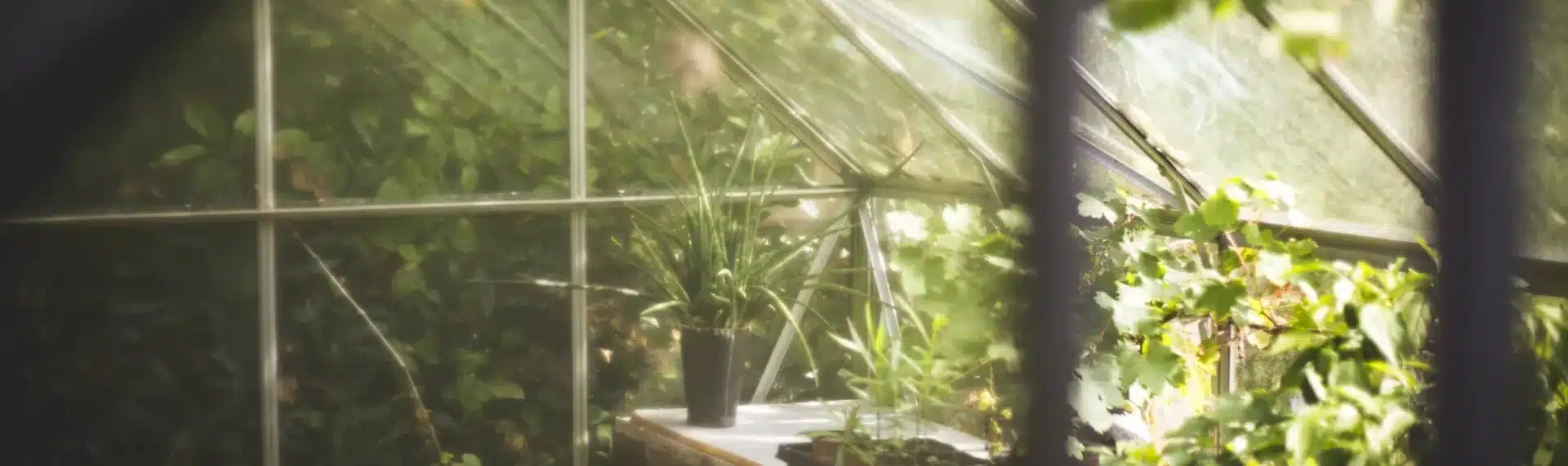 Gartenhaus mit Gartenger&auml;ten und vielen Pflanzen