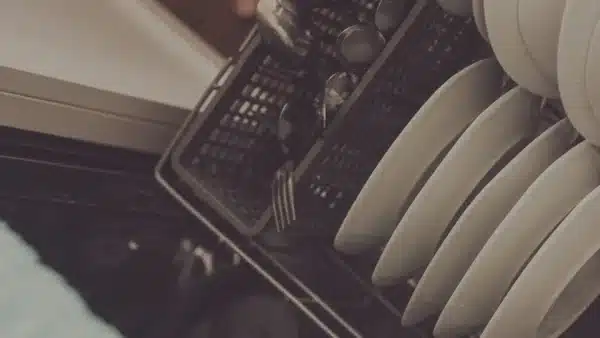 Geschirrsp&uuml;ler mit Tellern