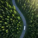 LKW f&auml;hrt durch den Wald auf ieiner geschl&auml;ngelten Stra&szlig;e