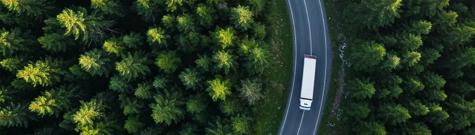 LKW f&auml;hrt durch den Wald auf ieiner geschl&auml;ngelten Stra&szlig;e