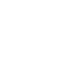 Pamyra Logo als wei&szlig;es Icon