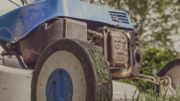 Rasenmäher mäht Gras im Garten
