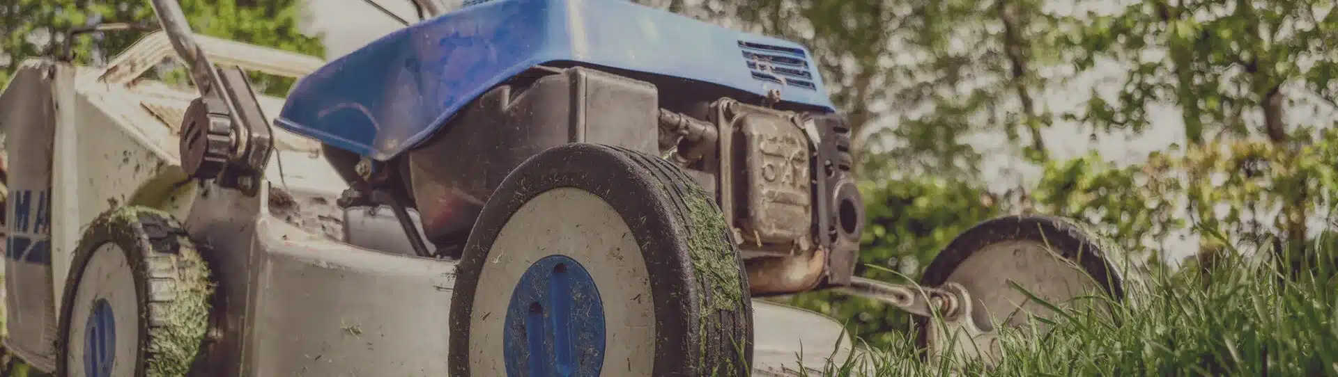 Rasenmäher mäht Gras im Garten