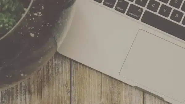 Terrarium auf einem Schreibtisch mit Laptop