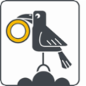 Logo der RAVEN Logistic GmbH