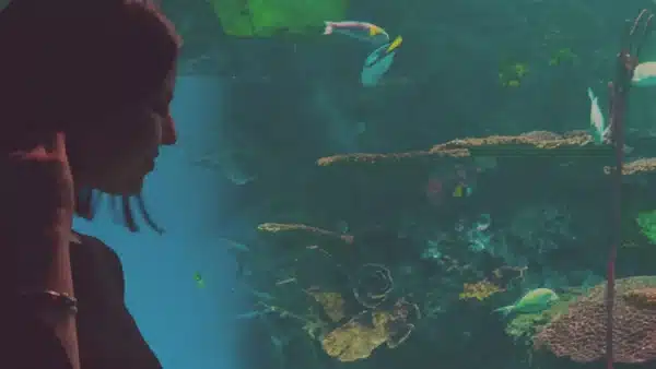 Frau steht vor einem riesigen Aquarium