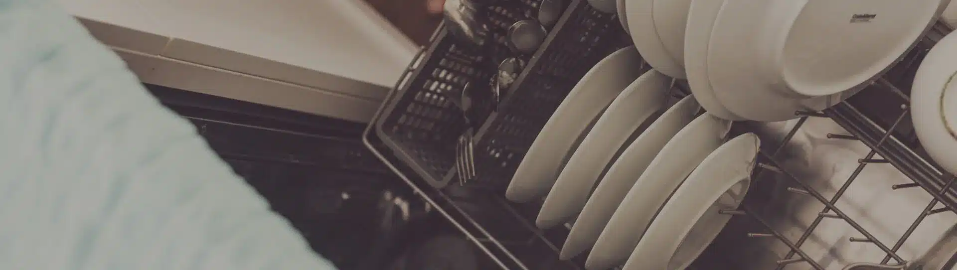 Geschirrspüler mit Tellern