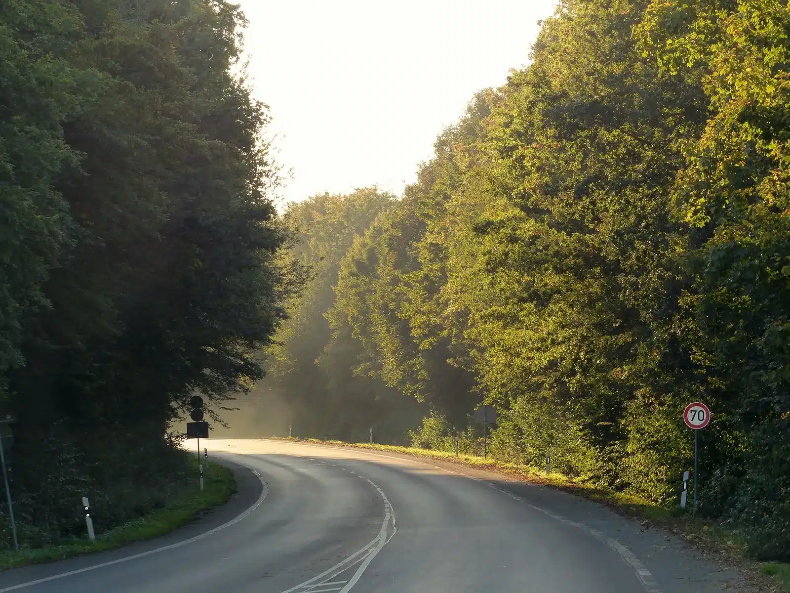 Straße im Wald mit leichtem Nebel